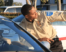 Working Security Guard