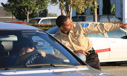 Professional Security Guard